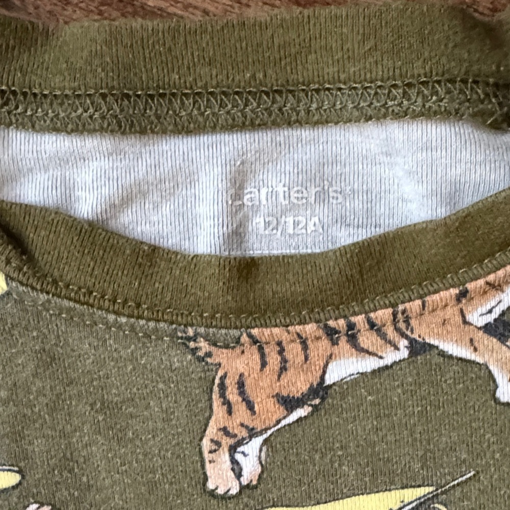 Green Tiger 🐅 Pajama Set size 12 - Picture 2 of 4